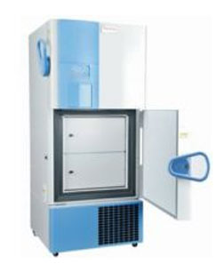 Thermo Scientific Forma 900